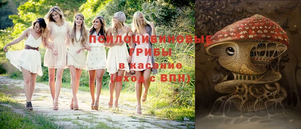 твердый Абаза
