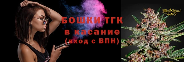 твердый Абаза