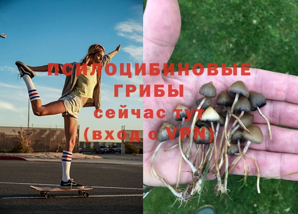 твердый Абаза